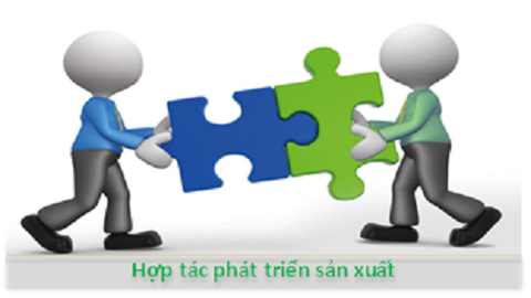 Hợp tác với Thái Dương - an toàn - nhanh chóng - hiệu quả