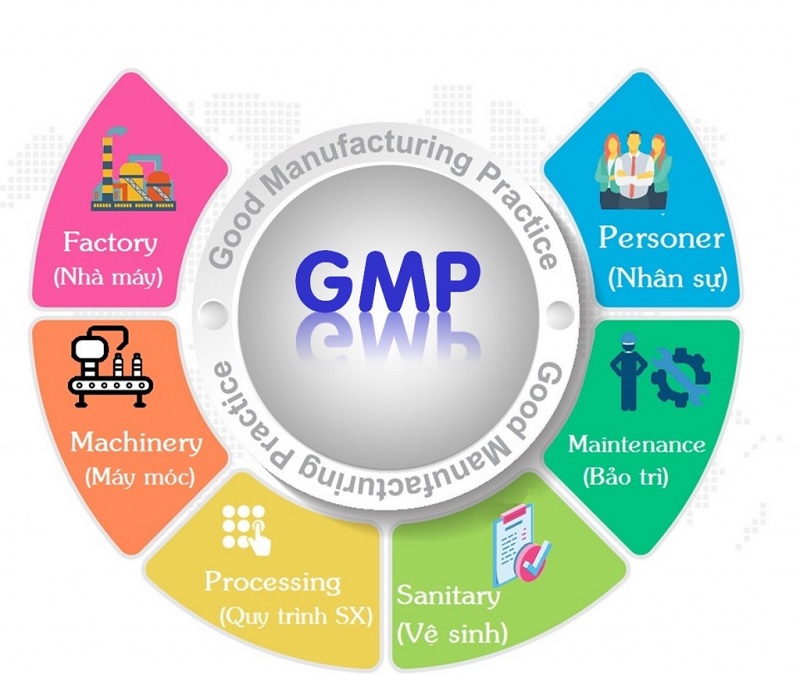 Tiêu chuẩn GMP là gì?