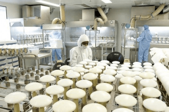 Điều Kiện Sản Xuất Mỹ Phẩm: Bước Đầu Để Xây Dựng Thương Hiệu Thành Công