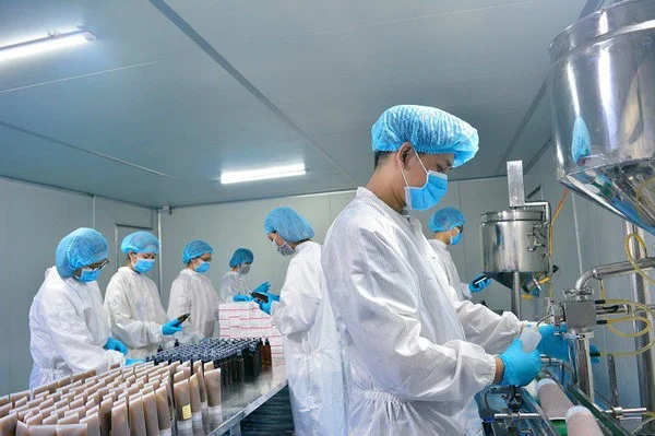 Lựa chọn dịch vụ tư vấn nhà máy mỹ phẩm CGMP trọn gói hiệu quả, tiết kiệm
